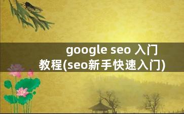 google seo 入门教程(seo新手快速入门)